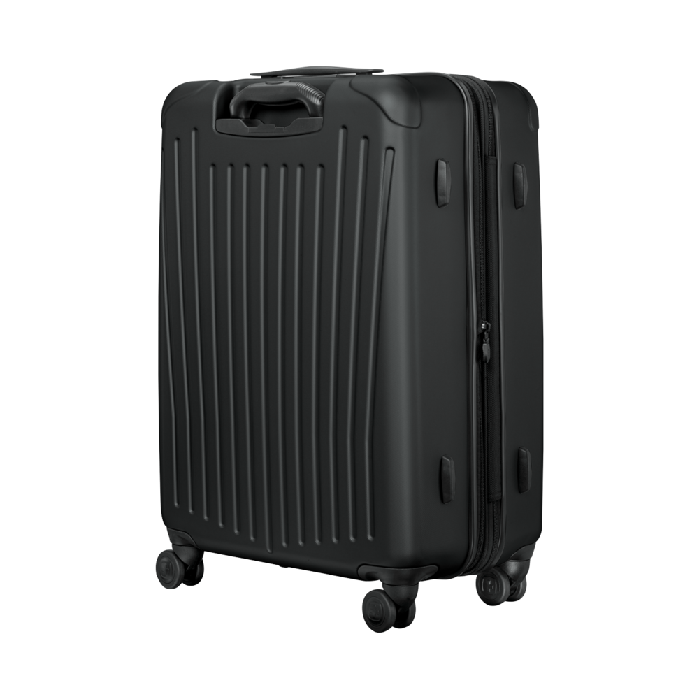 Medium Hardside Case, black