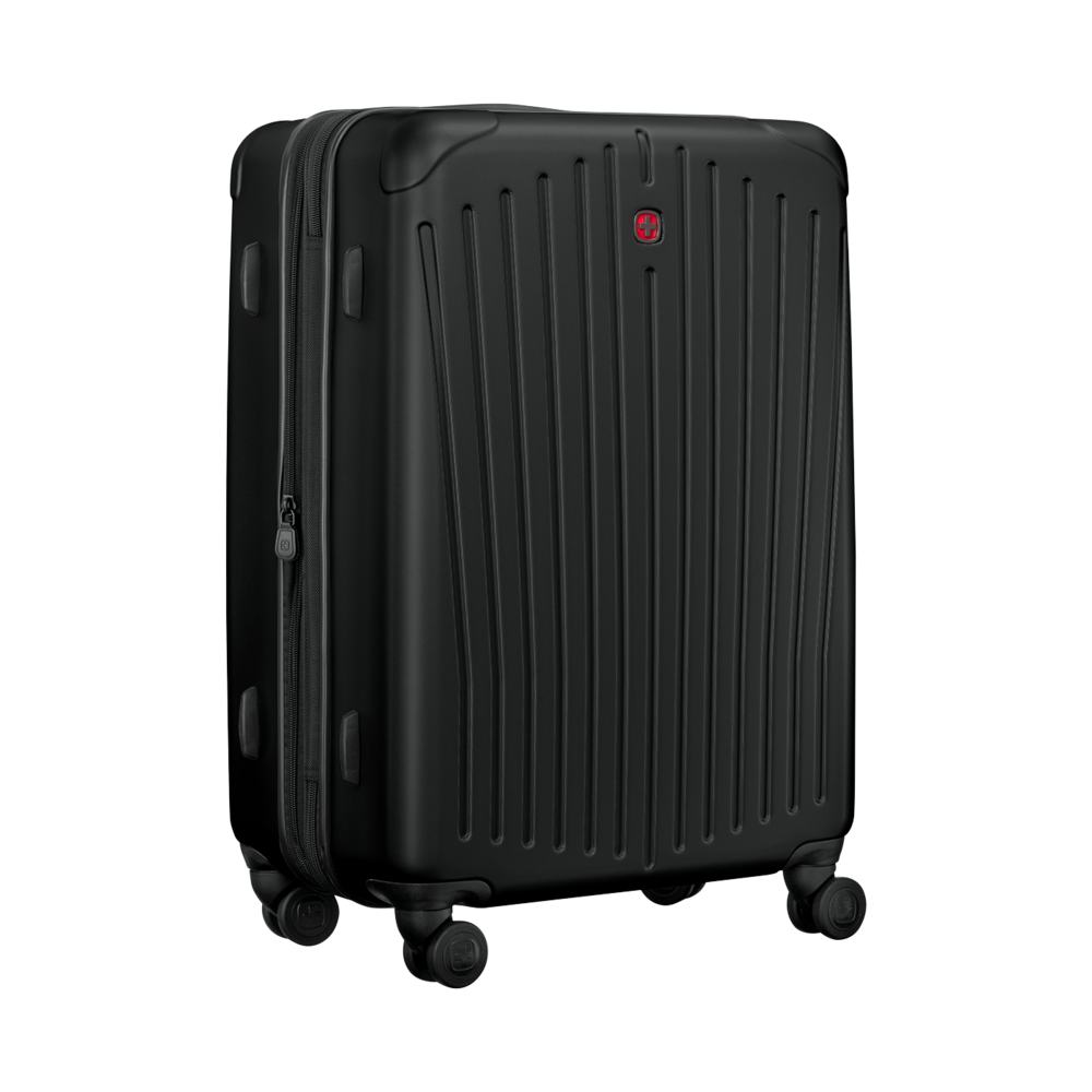 Medium Hardside Case, black