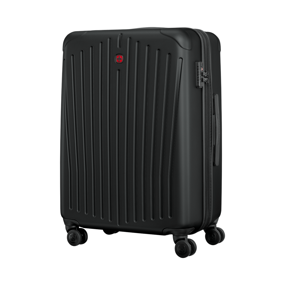 Medium Hardside Case, black