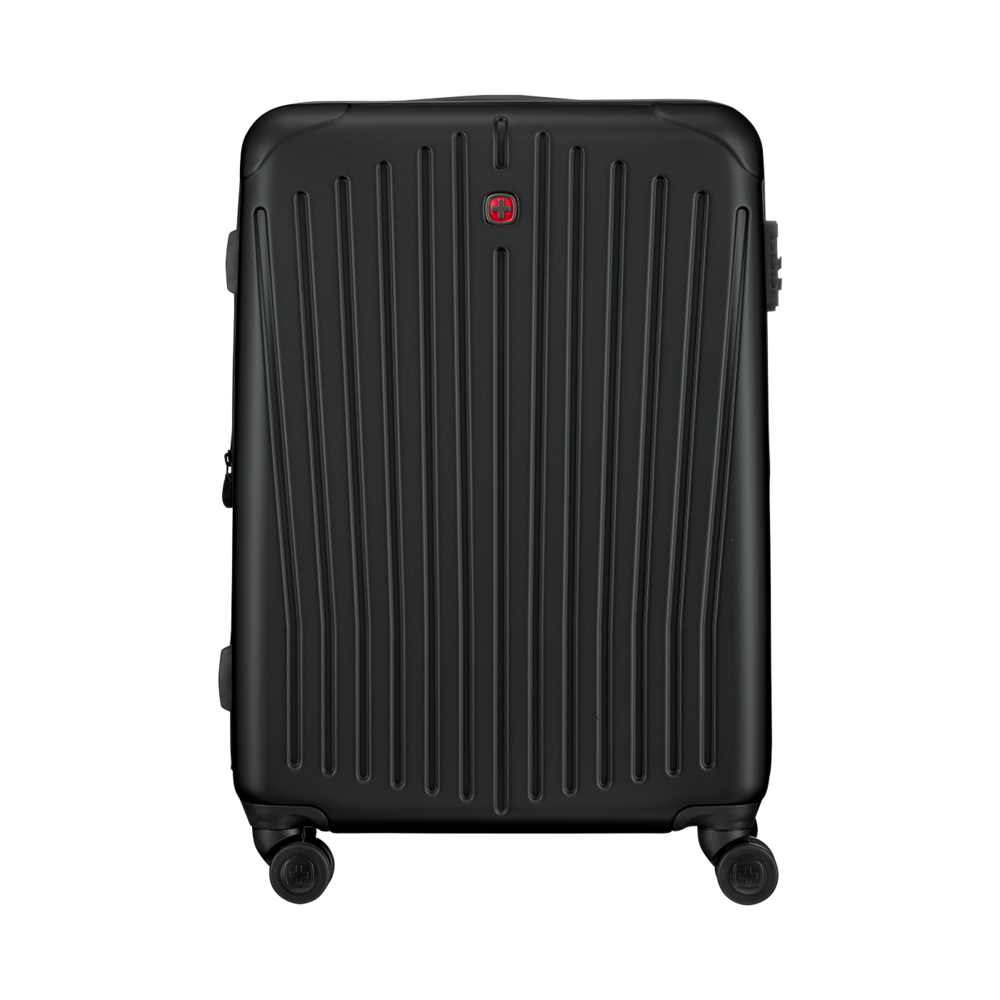 Medium Hardside Case, black